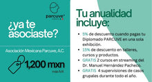 Cargar imagen en el visor de la galería, Socio México
